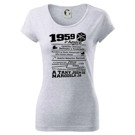 1959 v kostce