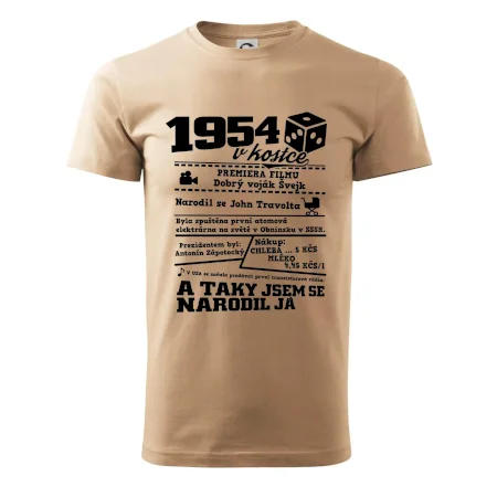 1954 v kostce