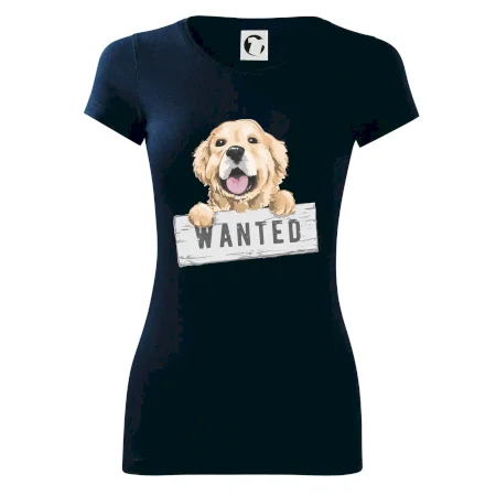 Zlatý retriever - štěně wanted