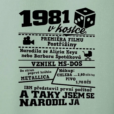 1981 v kostce