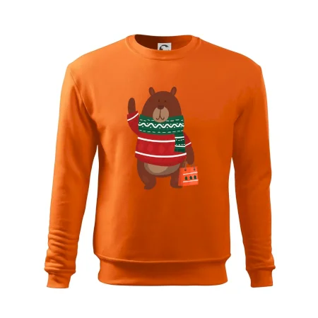Medvěd s dárkem