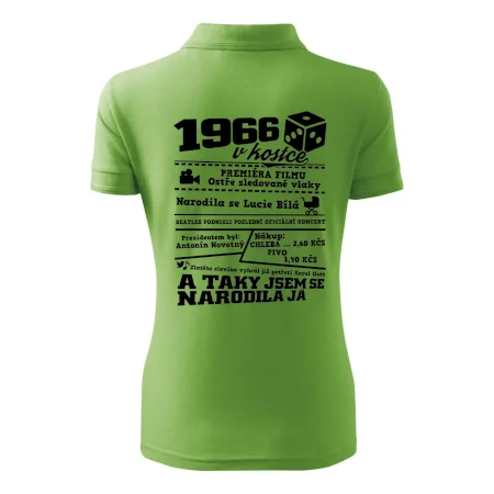 1966 v kostce