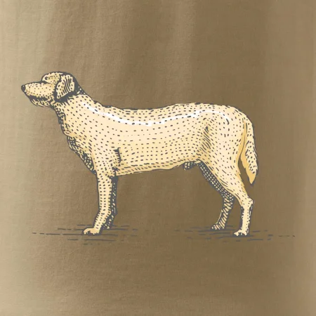 Vintage Labrador