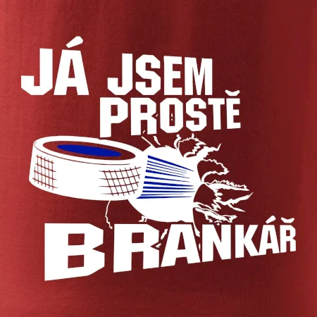Ja jsem prostě brankář hokej