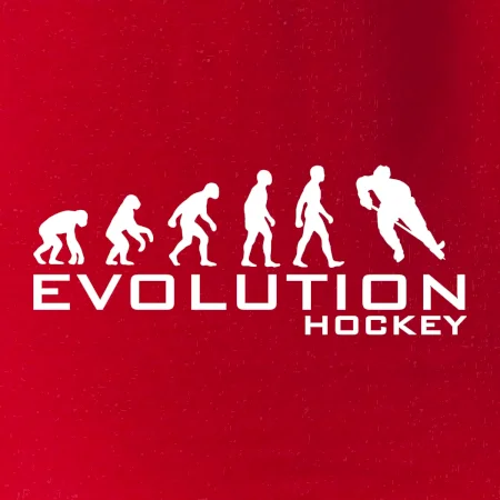 Evoluce Hockey - hráč