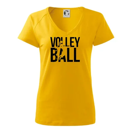 Volleyball nápis
