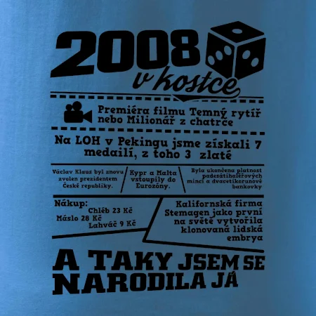 2008 v kostce