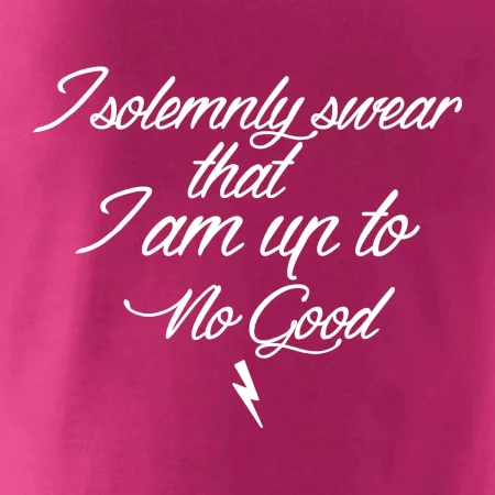 I solemnly swear that I'm up to no good