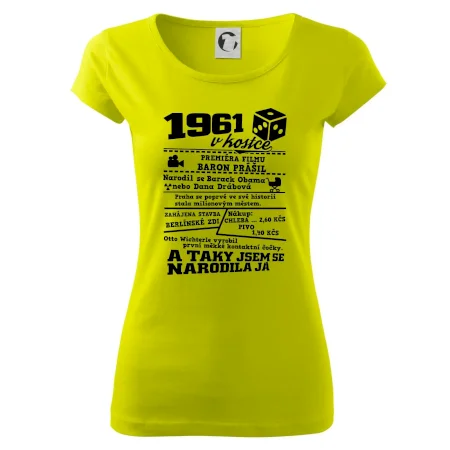 1961 v kostce