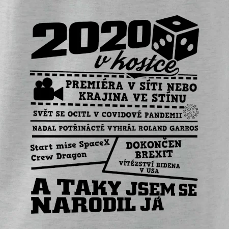 2020 v kostce