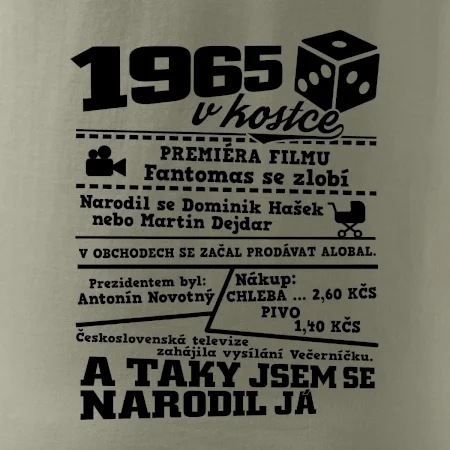 1965 v kostce