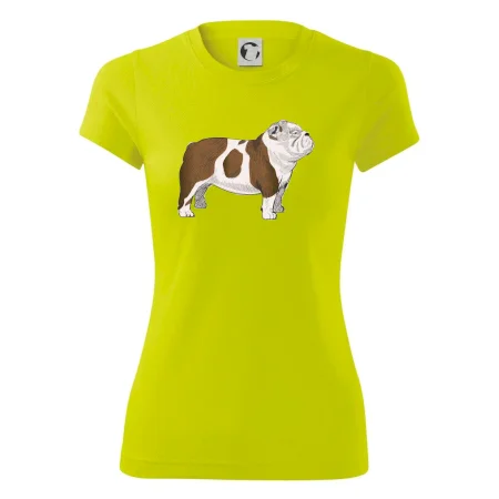 Vintage English bulldog