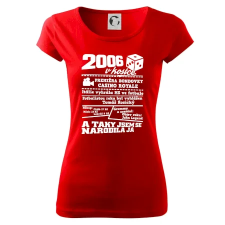 2006 v kostce
