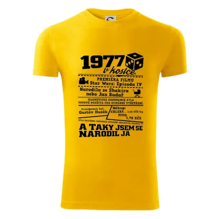 1977 v kostce