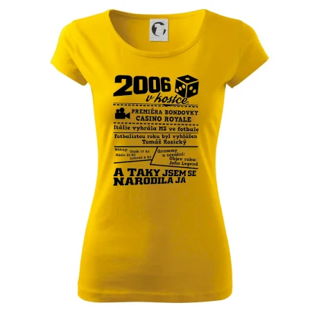 2006 v kostce
