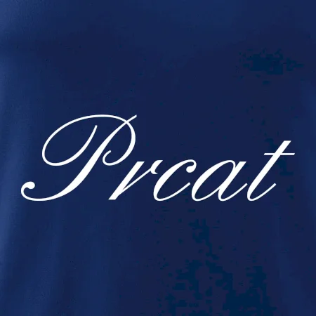Prcat (souložit vulgárně)