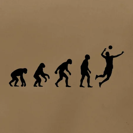 Evoluce volejbal smeč