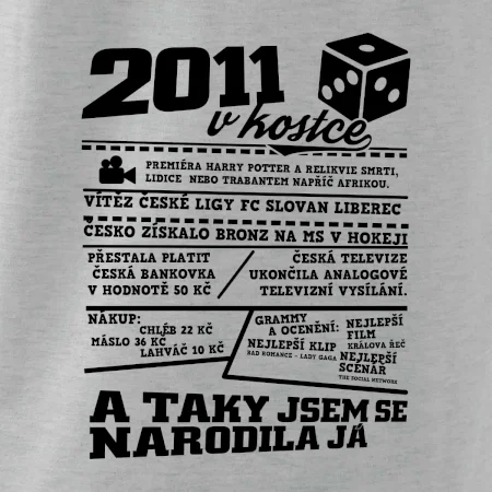 2011 v kostce