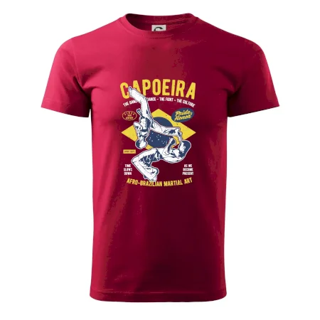Capoeira  Afro-brazil art