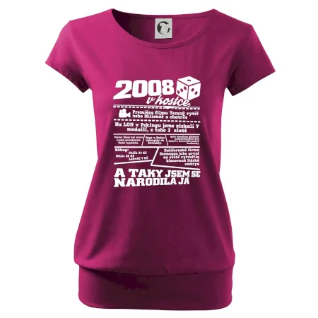 2008 v kostce