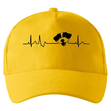 Jack Russell Terriér hrubosrstý Ekg