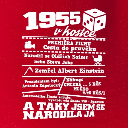 1955 v kostce