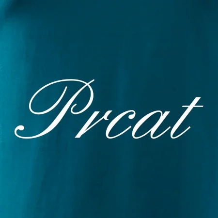 Prcat (souložit vulgárně)