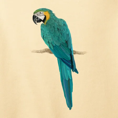 Ara