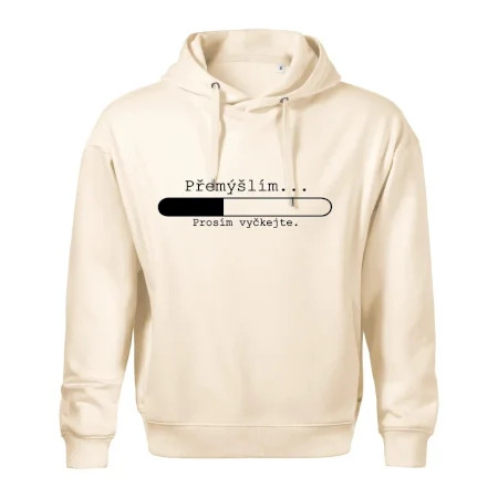 Přemýšlím