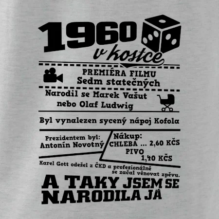 1960 v kostce