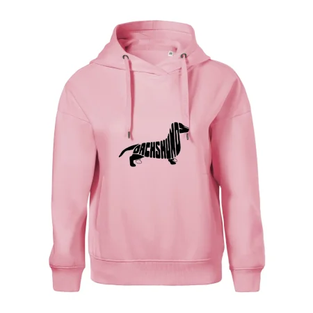 Jezevčík - Dachshund