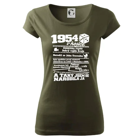 1954 v kostce