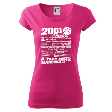 2001 v kostce