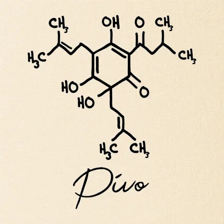 Barová chemie - pivo