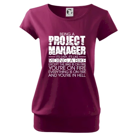 Being A Project Manager - bike