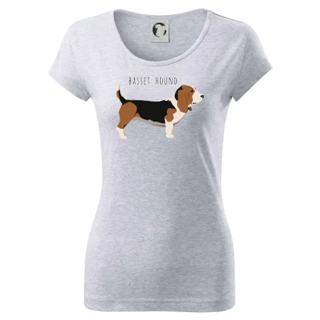 Basset hound pes s nápisem