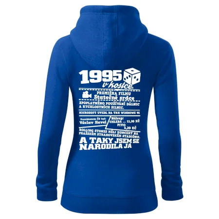 1995 v kostce