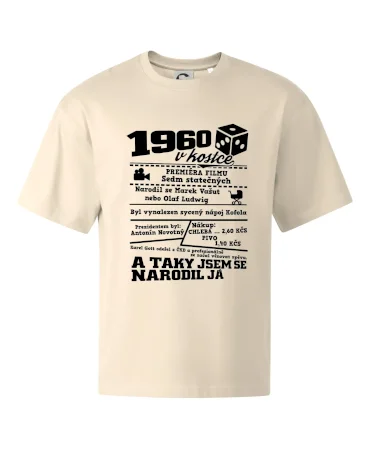 1960 v kostce
