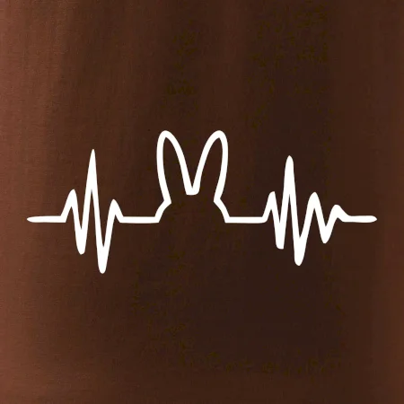 EKG zajíc