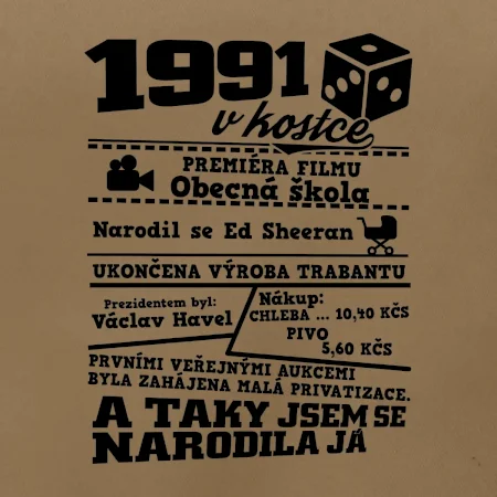 1991 v kostce