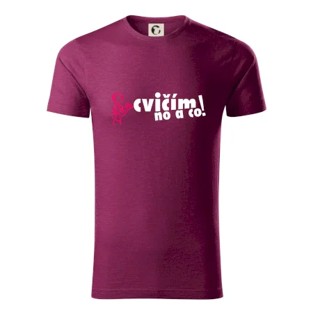 Cvičím no a co!