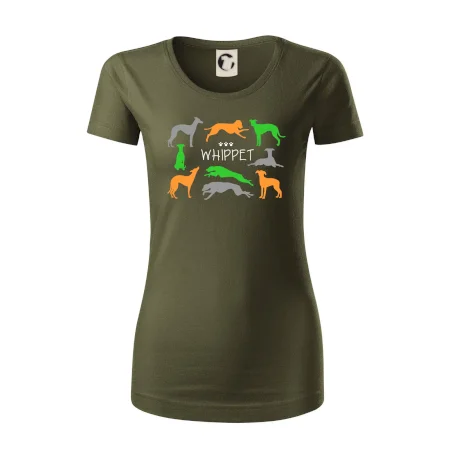 Whippet barevný