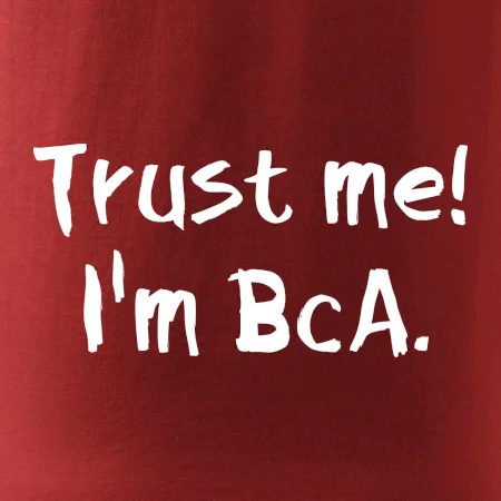 Trust me I´m  BcA. / Věř mi jsem BcA.