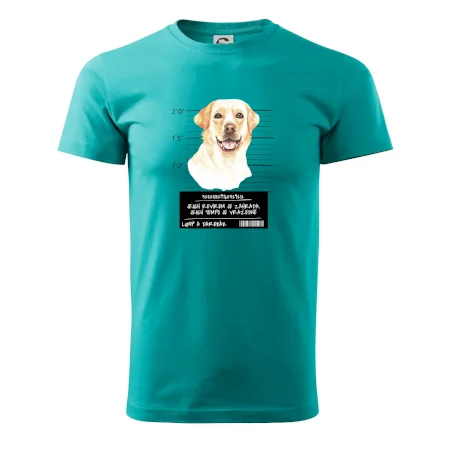 Lump a darebák labrador