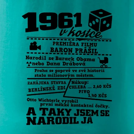 1961 v kostce
