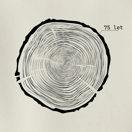Letokruhy - 75