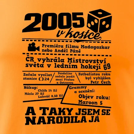 2005 v kostce