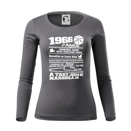 1966 v kostce