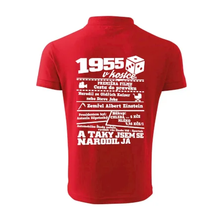1955 v kostce