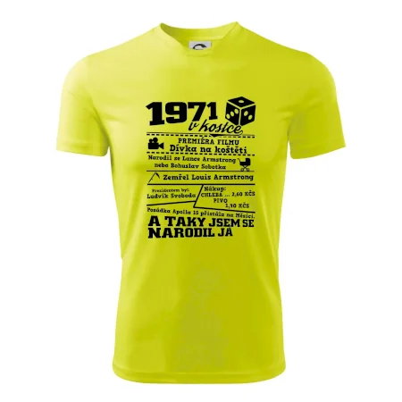 1971 v kostce